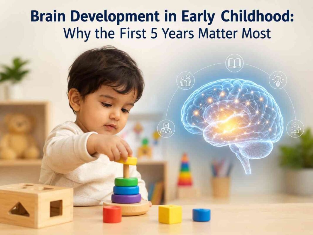 brain development