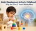 brain development